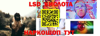 прущие грибы Будённовск