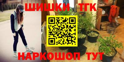 прущие грибы Будённовск