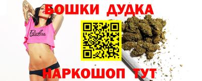 прущие грибы Будённовск